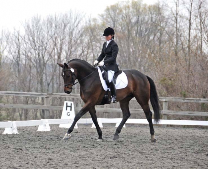 Duchess Alyce (Dauphin/Weltmeyer/Raphael) Bred by Marefield Meadows